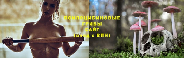 амфетамин Ельня