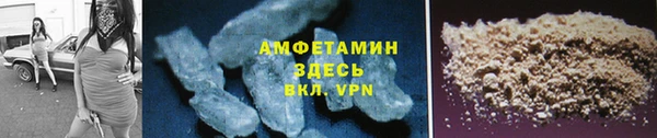 мдпв Елабуга