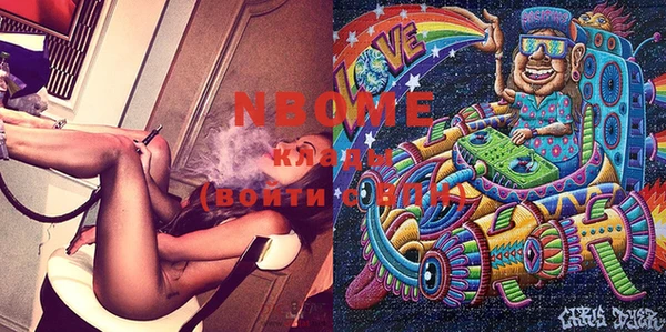 мдпв Елабуга