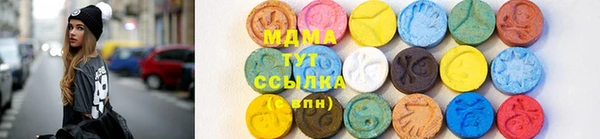 мдпв Елабуга