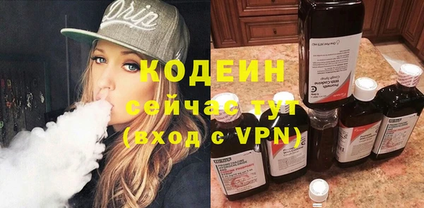 мдпв Елабуга