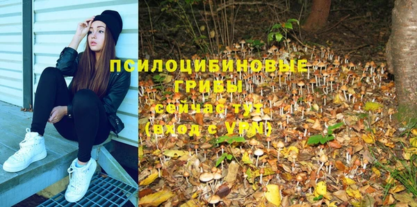 каннабис Елизово