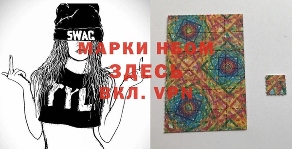 мдпв Елабуга