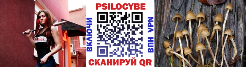 Галлюциногенные грибы Psilocybine cubensis  Купить где  Цоци-Юрт 